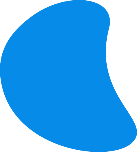 section decoration